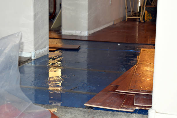 Professional Basement Flood Cleanup technician working in Dallas Center, IA